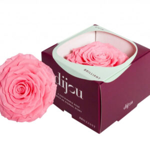 Trandafir ROZ DESCHIS Natural Criogenat Premium cu diametru 10cm + cutie cadou