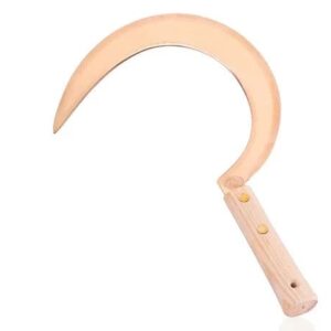 Secera mare din cupru, Ljubimir